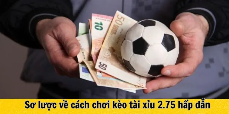 Chinh Phục Kèo 2.75 Keovip Online Với Chiến Thuật Chuẩn Xác 1 Chinh Phục Kèo 2.75 Keovip Online Với Chiến Thuật Chuẩn Xác