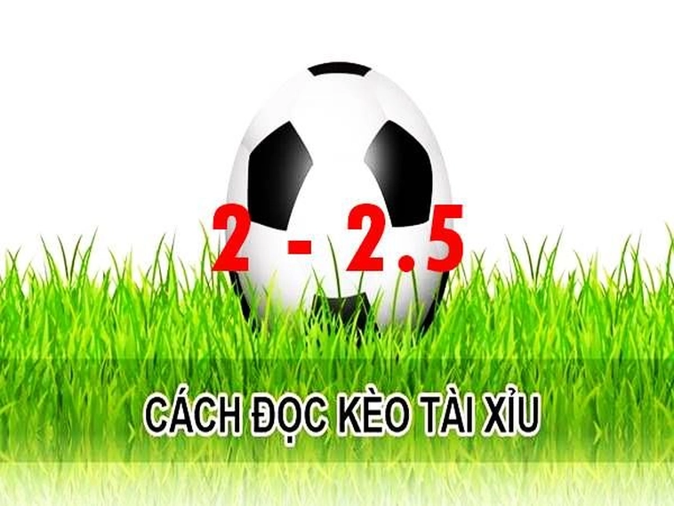 Bí Kíp Chiến Thắng Kèo 2.25 Bóng Đá Tại Keovip.online