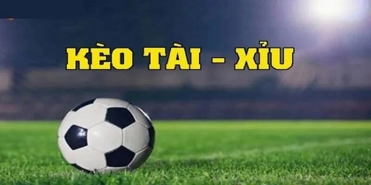 Cách Chơi Kèo Tài Xỉu Tại Keovip.online Hiệu Quả Nhất 1 Cách Chơi Kèo Tài Xỉu Tại Keovip.online Hiệu Quả Nhất